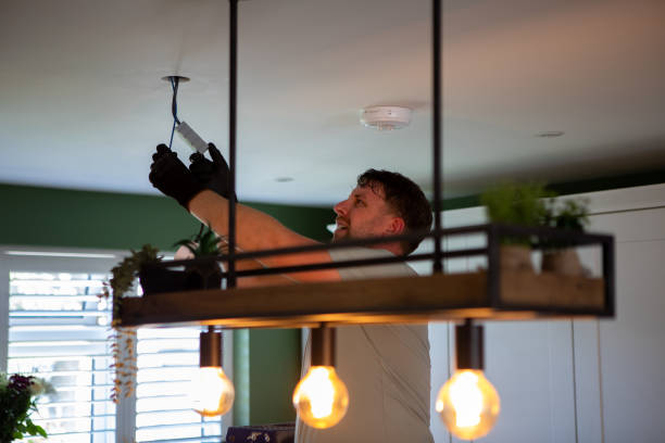 Best Electric Panel Repair  in Deerwood, TX